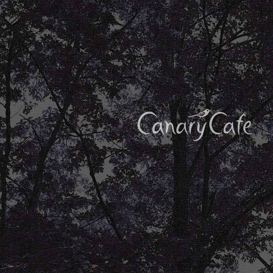 canary cafe